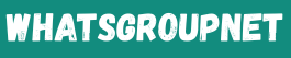 whatsgroupnet.com