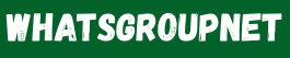whatsgroupnet.com